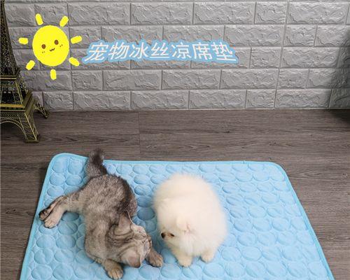 如何保护金毛犬的脚垫（让你的宠物在活动中更加健康和舒适）
