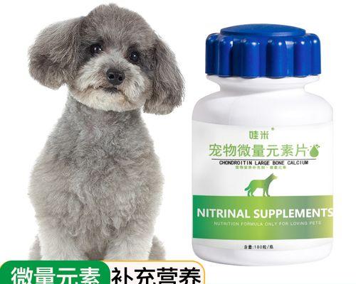 维生素对贵宾犬的重要性（宠物健康关键，营养不可少）