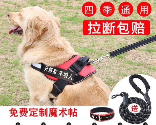 为什么狗狗不喜欢戴牵引绳？