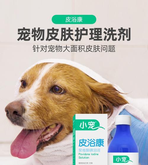 宠物狗皮炎湿疹的治疗方法（探究狗皮炎湿疹的成因和治疗方案）