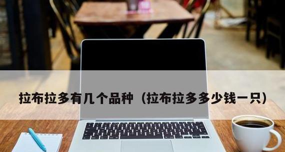 银狐犬乱咬东西怎么办？（如何训练宠物不乱咬东西？-以银狐犬为例）