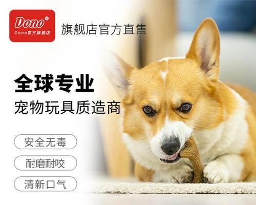 以比熊犬为什么会突然咬人？（探究比熊犬咬人的原因及预防措施）