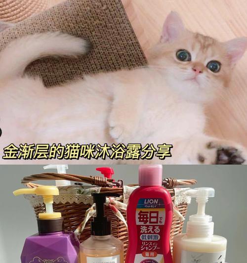 如何选购适合猫咪的脱毛沐浴露（给宠物最好的呵护，从选择脱毛沐浴露开始）