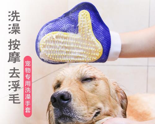 如何为宠物狗在美容店洗澡？（一步一步教你如何给狗狗洗澡）