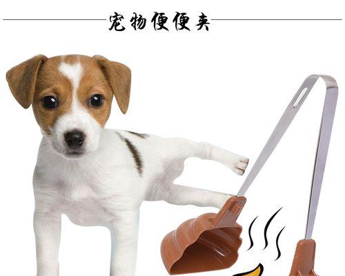 给爱宠使用吸发器——狗狗吸羊水器（为宠物健康呼吸保驾护航）