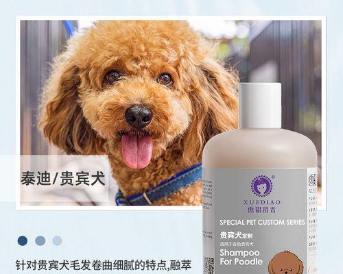 如何选择适合狗狗的沐浴露（宠物洗澡也讲究，选择沐浴露一定要注意）