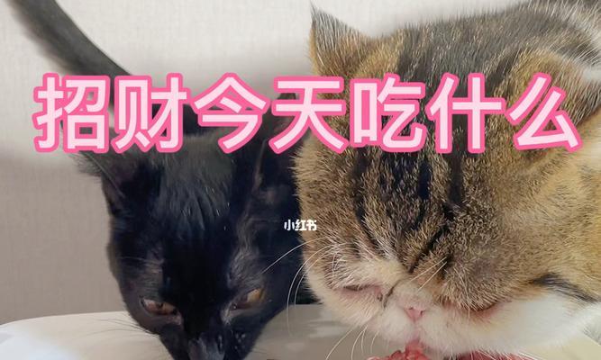 为什么猫咪喜欢吃肉？（探讨猫咪肉食性的成因与好处）