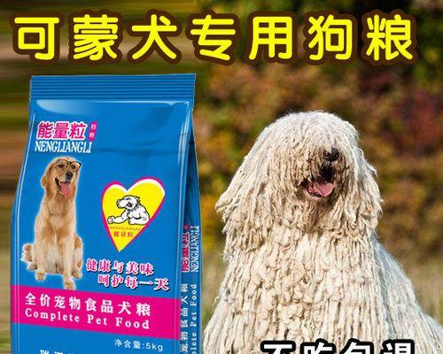 养可蒙犬的前景和注意事项（如何成为一位成功的可蒙犬主人）
