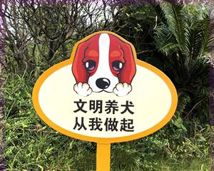 如何正确饲养眼镜猴（以宠物为主，从营养、环境、社交等方面全面解读）