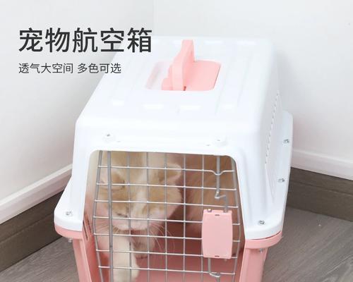 如何安全地将宠物狗狗空运至目的地（一步步教你准备空运狗狗的必备事项，带你顺利送宠物上天！）