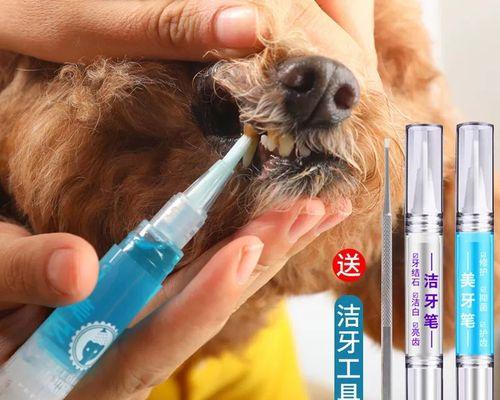 如何有效去除狗狗口臭？（专业方法让你的宠物口气清新如初）