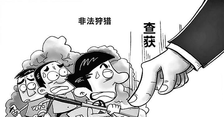 如何科学饲养蒙古兔？（以宠物为主，打造健康可爱的小兔子）