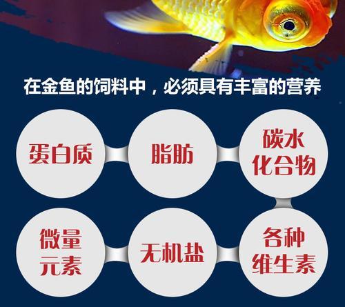 如何选择适合金鱼的饲料（金鱼饲料选择的关键要素及常见饲料的优缺点）