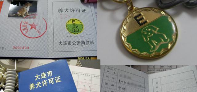 33种狗可以办狗证，了解狗证的用途与重要性（探究狗证对宠物狗及其主人的意义及限制，狗证申领指南）