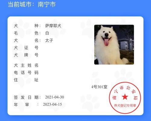 如何办理狗证（办理狗证的准备工作及步骤）