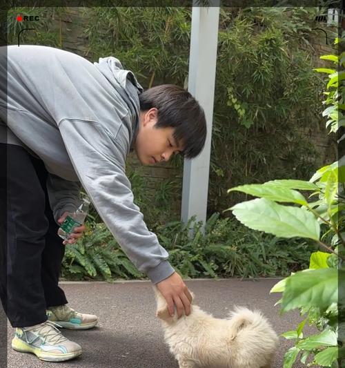 遇到凶狗时的自我保护技巧（如何应对陌生狗狗的攻击行为）