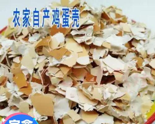 狗狗能吃鸡蛋吗？（为什么只能吃蛋黄不可吃蛋白）