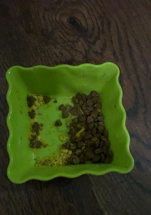 萨摩耶犬吐狗粮的原因及解决办法（了解萨摩耶犬吐狗粮的原因和有效的解决办法）