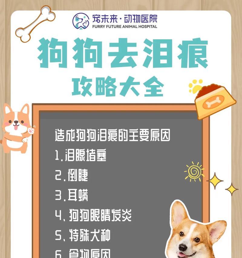 揭秘狗狗泪痕的原因及处理方法（探索狗狗泪痕背后的隐情，帮助您轻松解决泪痕困扰）