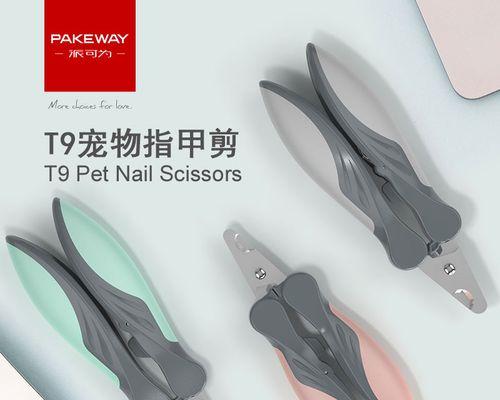 如何正确修剪泰迪狗狗的毛发和指甲（简单步骤让你成为宠物美容师）
