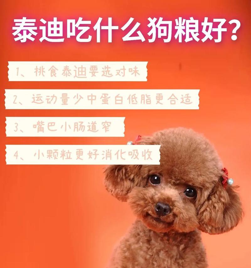 泰迪犬的五重人生旅程（从无忧无虑到智慧成熟的五个时期）