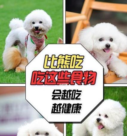 如何合理确定狗狗每天所需狗粮量？（简单的方法让你轻松掌握喂养狗狗的技巧）