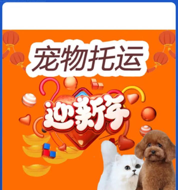 小猫托运手续及办理方法（了解小猫托运所需手续，为您的宠物出行提供便利）