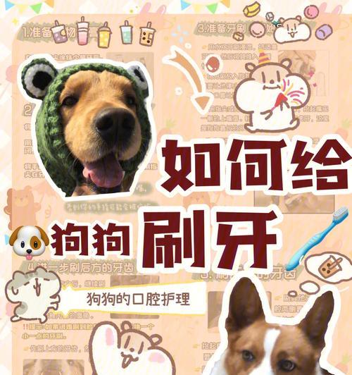 科学饮水，让狗狗健康快乐（为你的狗狗提供适量的水，）