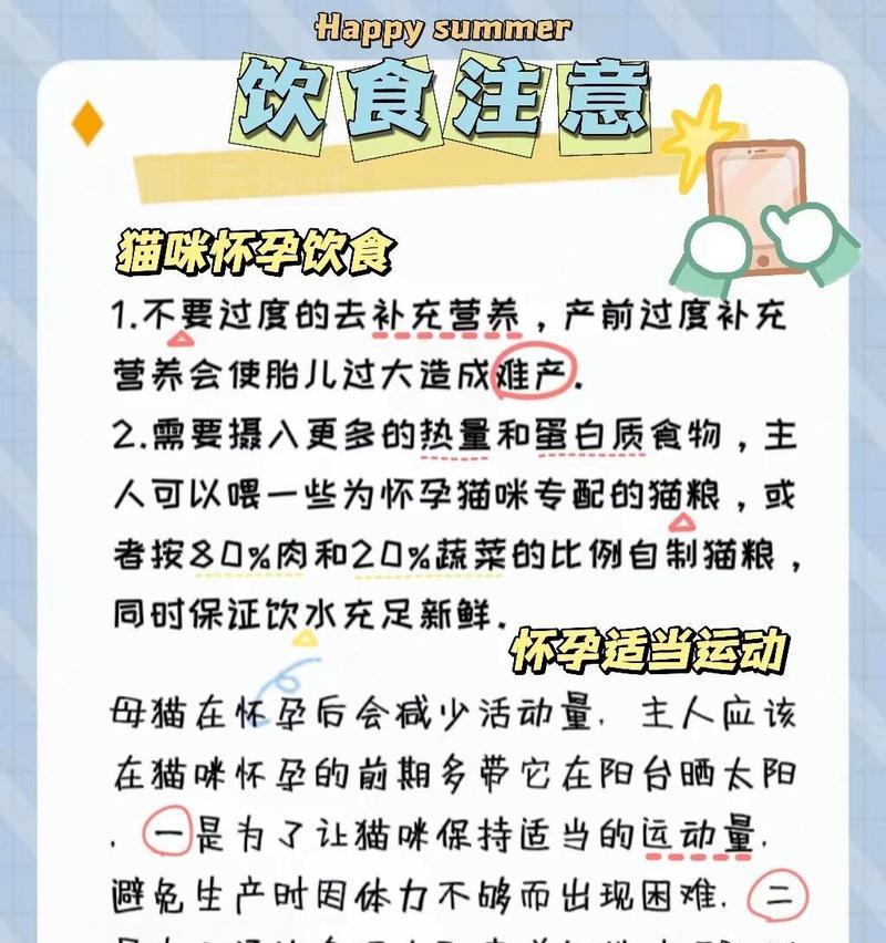 猫咪怀孕期间的饮食要注意什么？（保障猫咪健康成长的关键饮食内容）