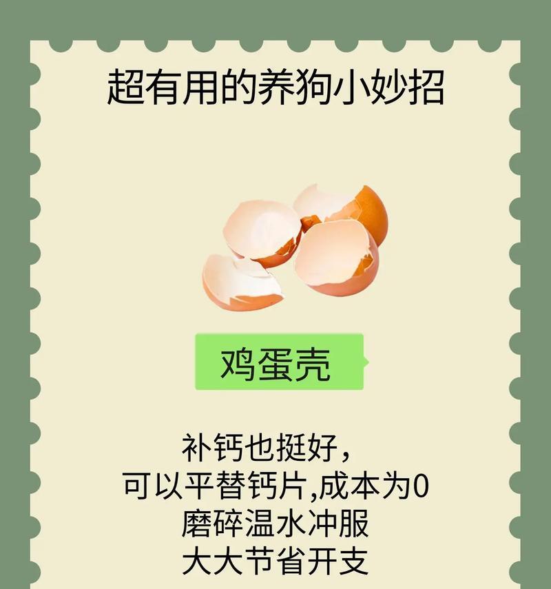 探究狗狗口臭的原因及解决方法（了解为什么狗狗会有口臭，学会如何预防和处理口臭问题）