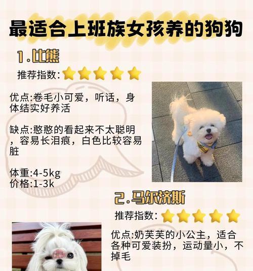 女生养护卫犬的选择与注意事项（以女生为主人的护卫犬养育指南）