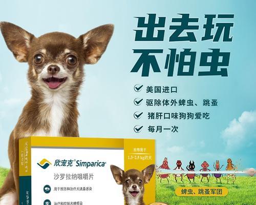 狗狗蹭地吃什么驱虫药？（了解适合狗狗的驱虫药物及使用方法，保障宠物健康）