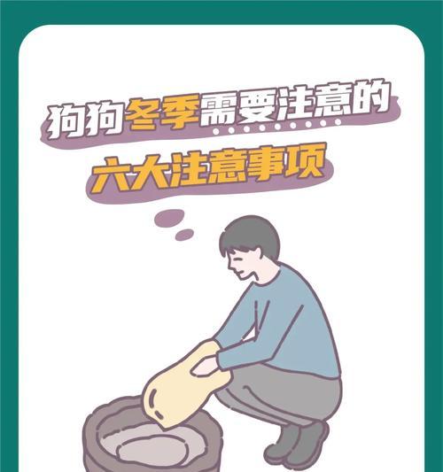 2个半月的狗狗护理指南（关注宠物健康和幸福，提供最佳照顾！）