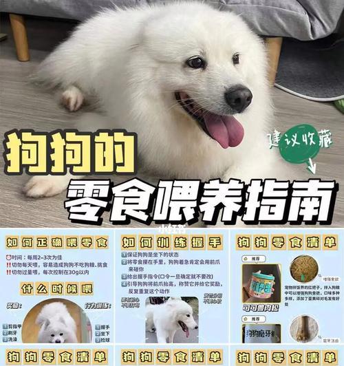 狗狗生下来喂什么症状（揭秘新生狗狗的饮食需求和相关症状）
