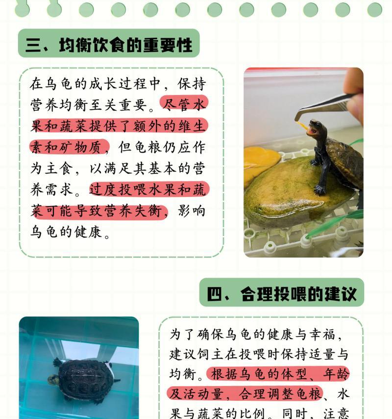 乌龟的饮食习惯及适宜食物选择（探索乌龟的饮食习性，了解它们所喜欢的食物）