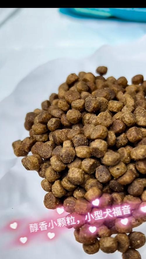 狗狗不吃狗粮，该如何调整饮食？（为什么狗狗不吃狗粮？如何替代狗粮满足其营养需求？）