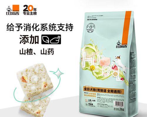 幼犬肠胃调理药物指南（为你的幼犬提供肠胃健康的最佳药物选择）